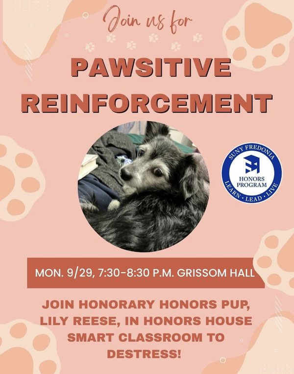 Pawsitive Reinforcement